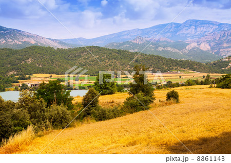 farms and fields in valley farms and fields in valley 8861143
