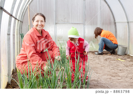 women with child works at hothouse women with child works at hothouse 8863798
