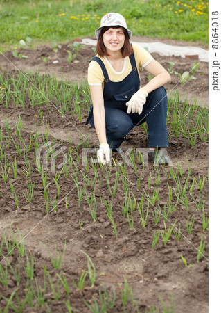 woman working at onion plant 8864018