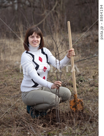 woman making orchard with spade and sprouts 8864194