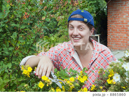 Girl cutting shrubby cinquefoil Girl cutting shrubby cinquefoil 8865860