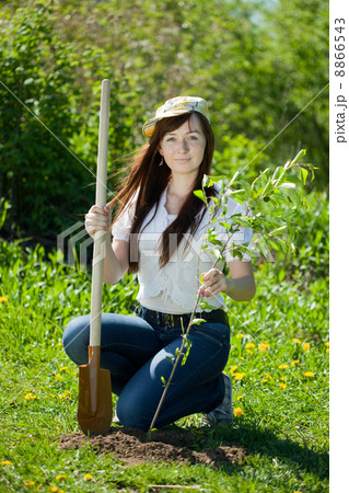 Young woman sets tree Young woman sets tree 8866543
