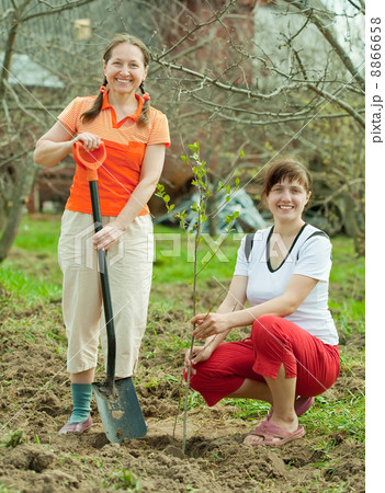 women planting tree at orchard 8866658