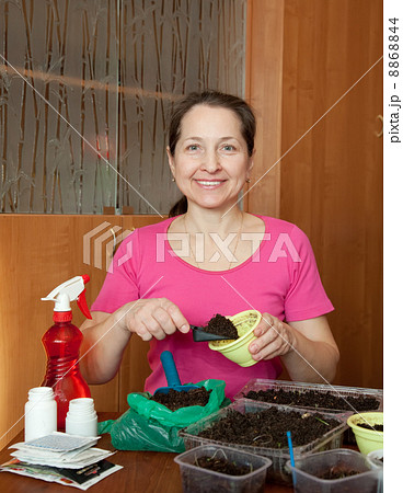 woman making ground for seedlings woman making ground for seedlings 8868844
