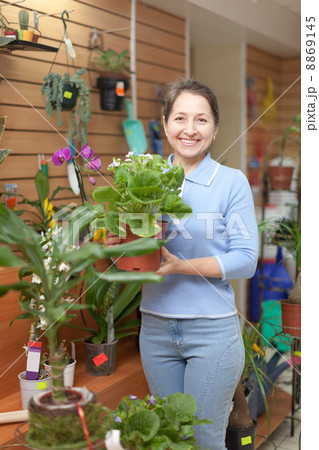 Woman with auricula flower 8869145