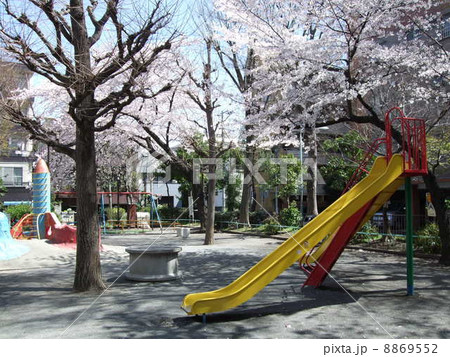 桜が咲く豊島区の江戸橋公園 桜が咲く豊島区の江戸橋公園 8869552