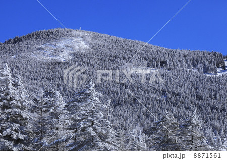 冬のイメージ　樹氷 8871561