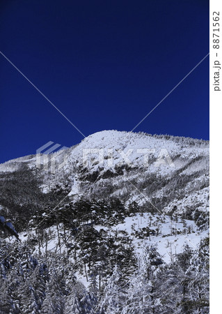 冬のイメージ　樹氷と北横岳 8871562