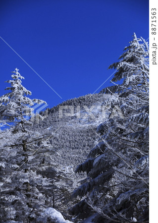 冬のイメージ　樹氷 8871563