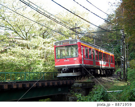 箱根登山鉄道　2000系　彫刻の森駅付近 8871959