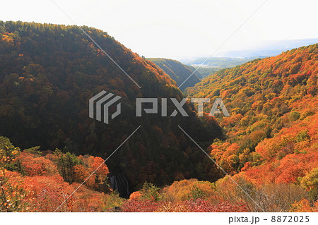 横谷峡の秋 8872025