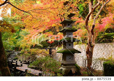 中野邸もみじ園 中野邸もみじ園 8875539