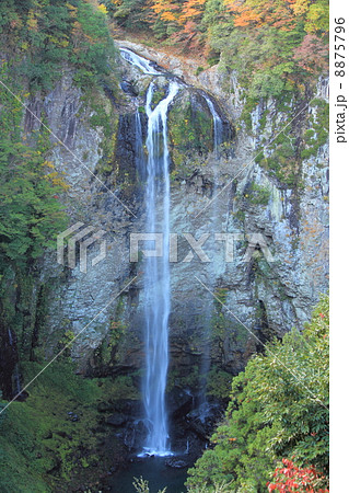 福貴野の滝 8875796