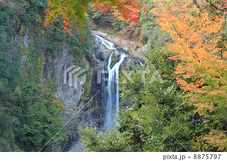 福貴野の滝 8875797