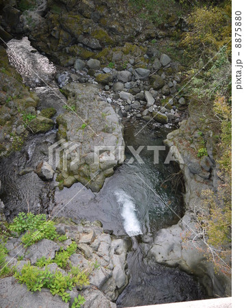 白糸の滝 白糸の滝 8875880