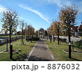 晩秋の都市公園 8876032