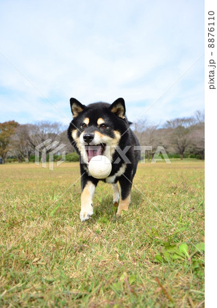 もっと投げて♪ 8876110