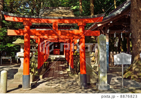 宇都宮散歩・初辰稲荷神社 二荒山神社 宇都宮散歩・初辰稲荷神社 二荒山神社 8876823