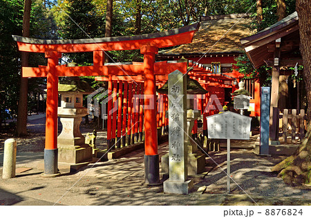 宇都宮散歩・初辰稲荷神社 二荒山神社 宇都宮散歩・初辰稲荷神社 二荒山神社 8876824