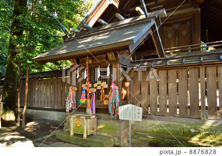 宇都宮散歩・女体宮　二荒山神社 8876828