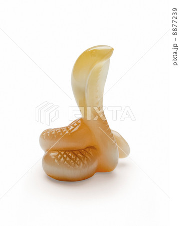 snake, isolated on white background 8877239