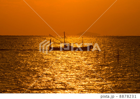 夕日の中の漁船(瀬戸内海) 夕日の中の漁船(瀬戸内海) 8878231