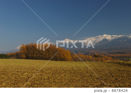 晩秋の田園風景 晩秋の田園風景 8878426