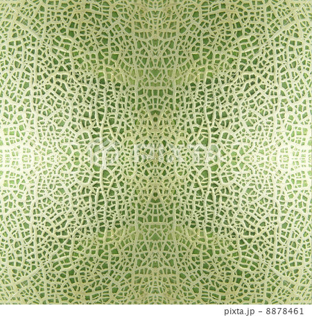 シームレスメロン皮 8878461