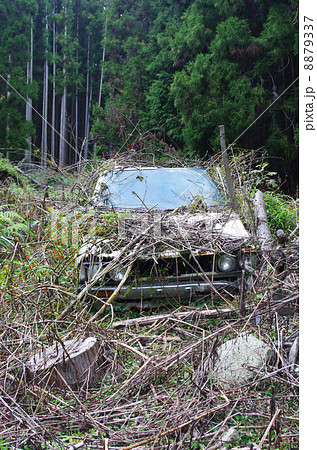 山奥の水源地に不法投棄されたクルマ 山奥の水源地に不法投棄されたクルマ 8879337