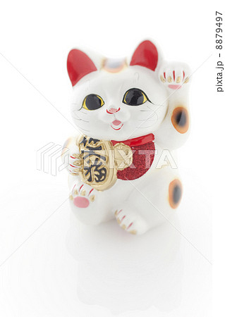 招き猫（白） 8879497