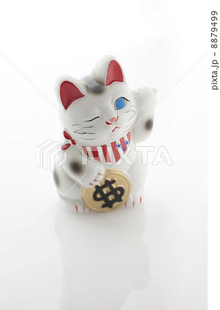 ドルキャット（招き猫） 8879499