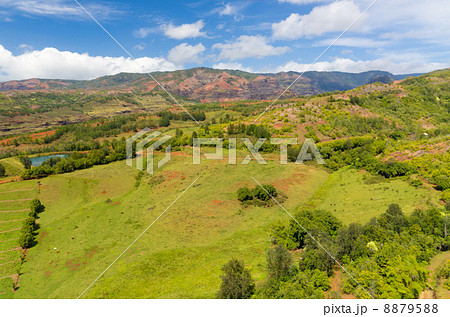 ハワイ　カウアイ島　内陸の景色　空撮 8879588