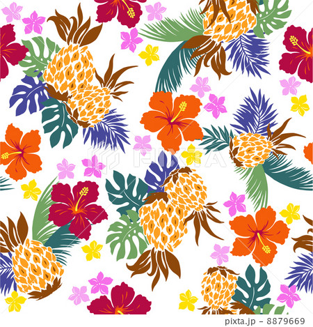 ハイビスカスのパターン 8879669