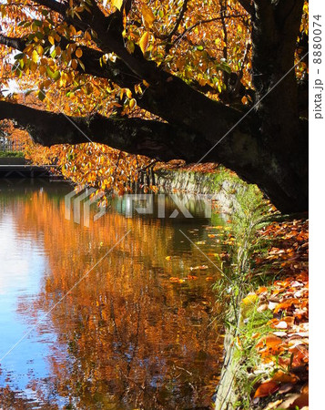 秋の弘前公園 8880074