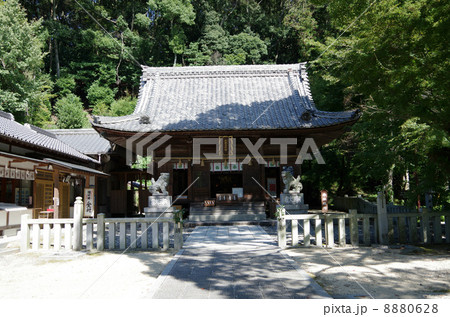 松平東照宮(愛知県) 松平東照宮(愛知県) 8880628