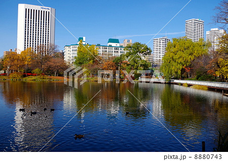 中島公園　菖蒲池　（北海道札幌市中央区） 8880743