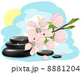 Spa background with cherry blossoms 8881204