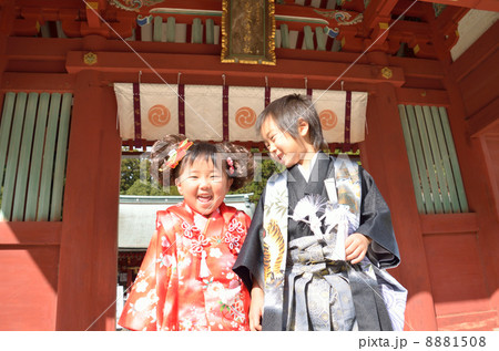 兄妹で七五三 8881508