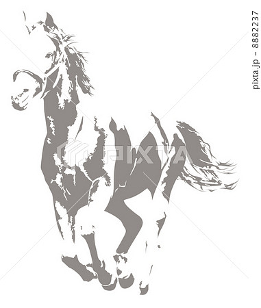 馬シルエットのイラスト素材 [8882237] - PIXTA