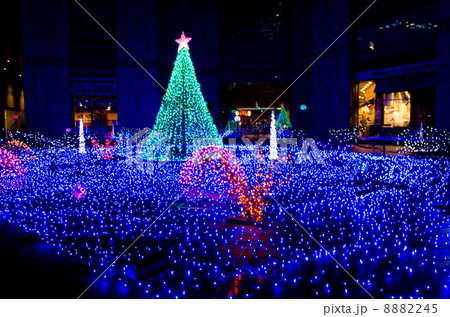 カレッタ汐留2013イルミネーション 8882245