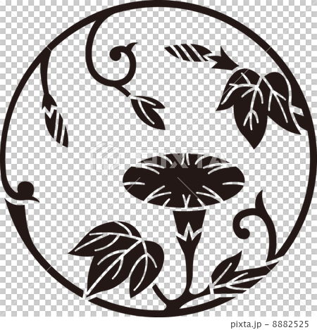 牽牛花分支圈 8882525