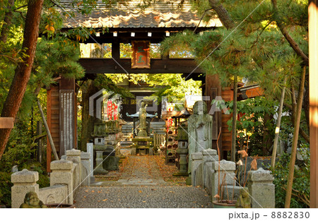 宇都宮散歩・参道 興禅寺 宇都宮散歩・参道 興禅寺 8882830