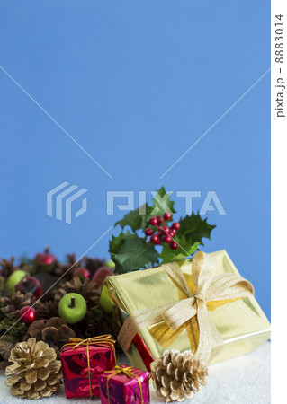 クリスマスグッズ 8883014