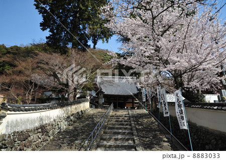 京都 宝積寺の春 京都 宝積寺の春 8883033
