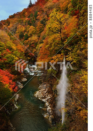 川俣温泉の間欠泉 川俣温泉の間欠泉 8884485