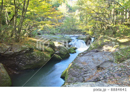 紅葉の舟作 紅葉の舟作 8884641