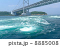 鳴門のうずしお 8885008