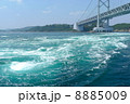 鳴門のうずしお 8885009