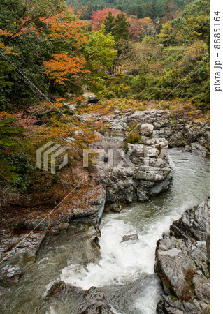 紅葉～秋川渓谷～(東京都-あきる野市) 8885164