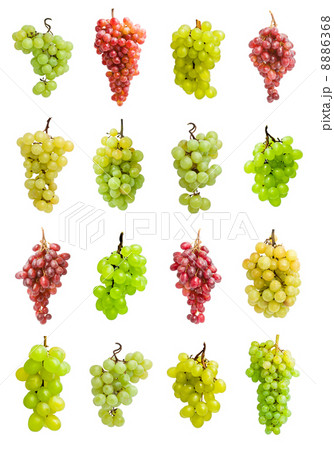 Grapes 8886368